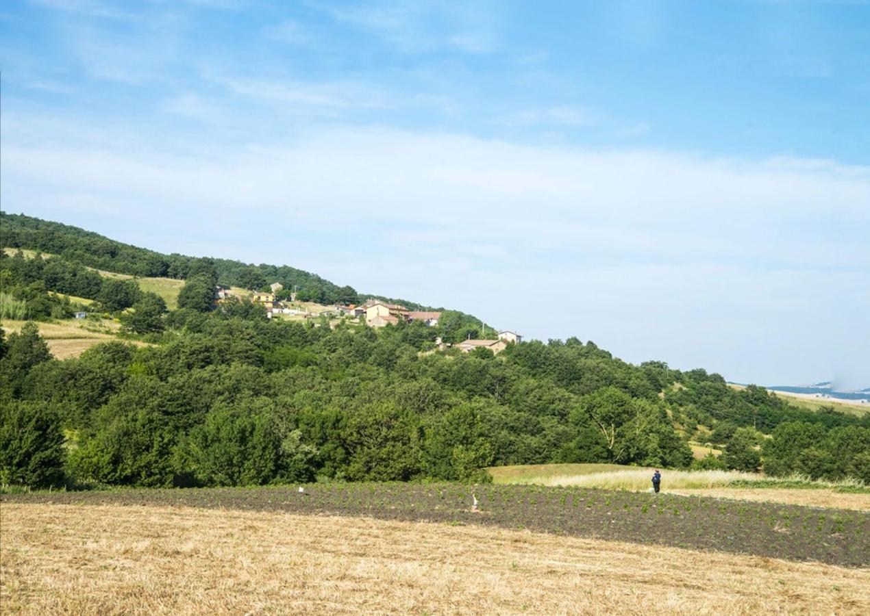 Le Pitture Casa Di Campagna Filiano Экстерьер фото