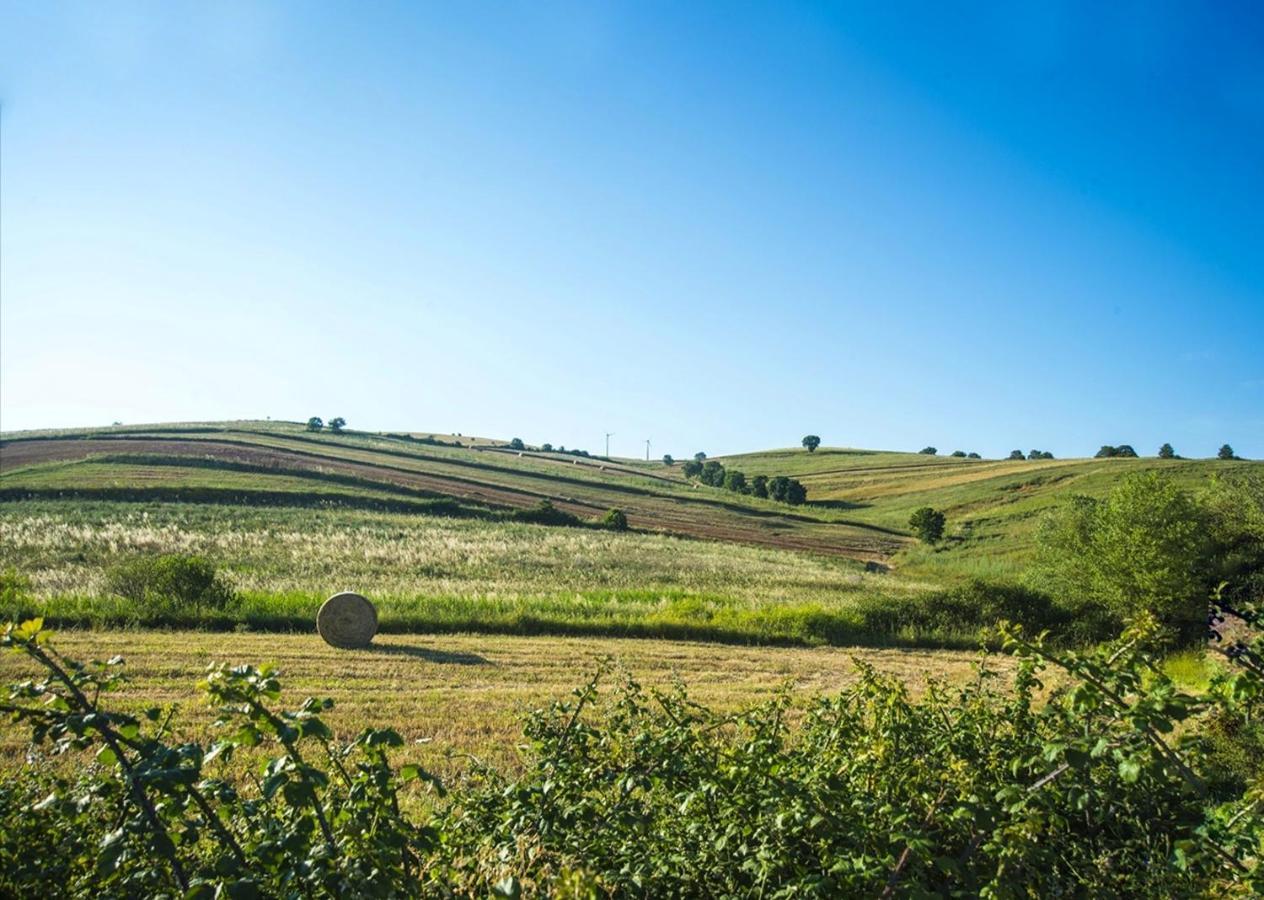 Le Pitture Casa Di Campagna Filiano Экстерьер фото