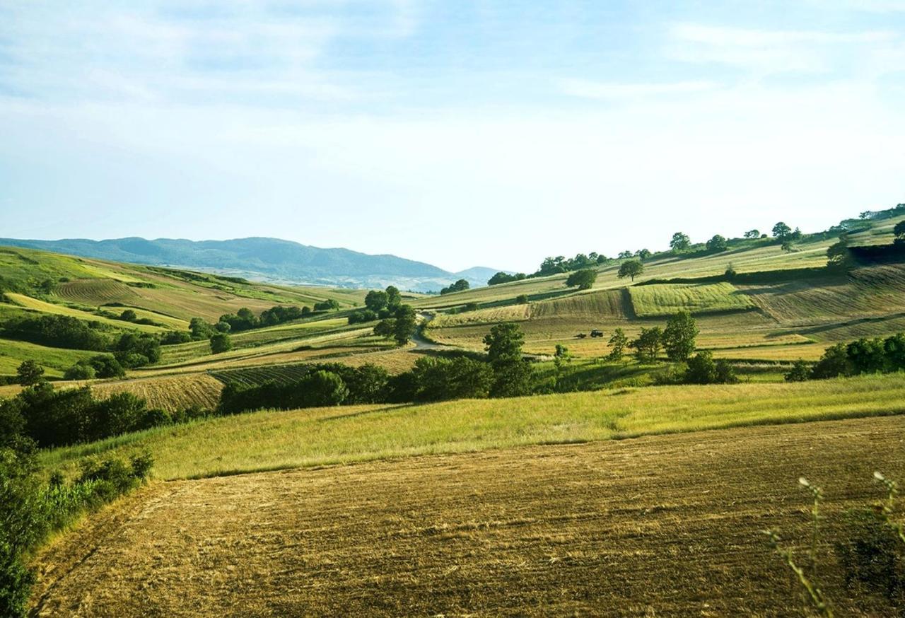 Le Pitture Casa Di Campagna Filiano Экстерьер фото